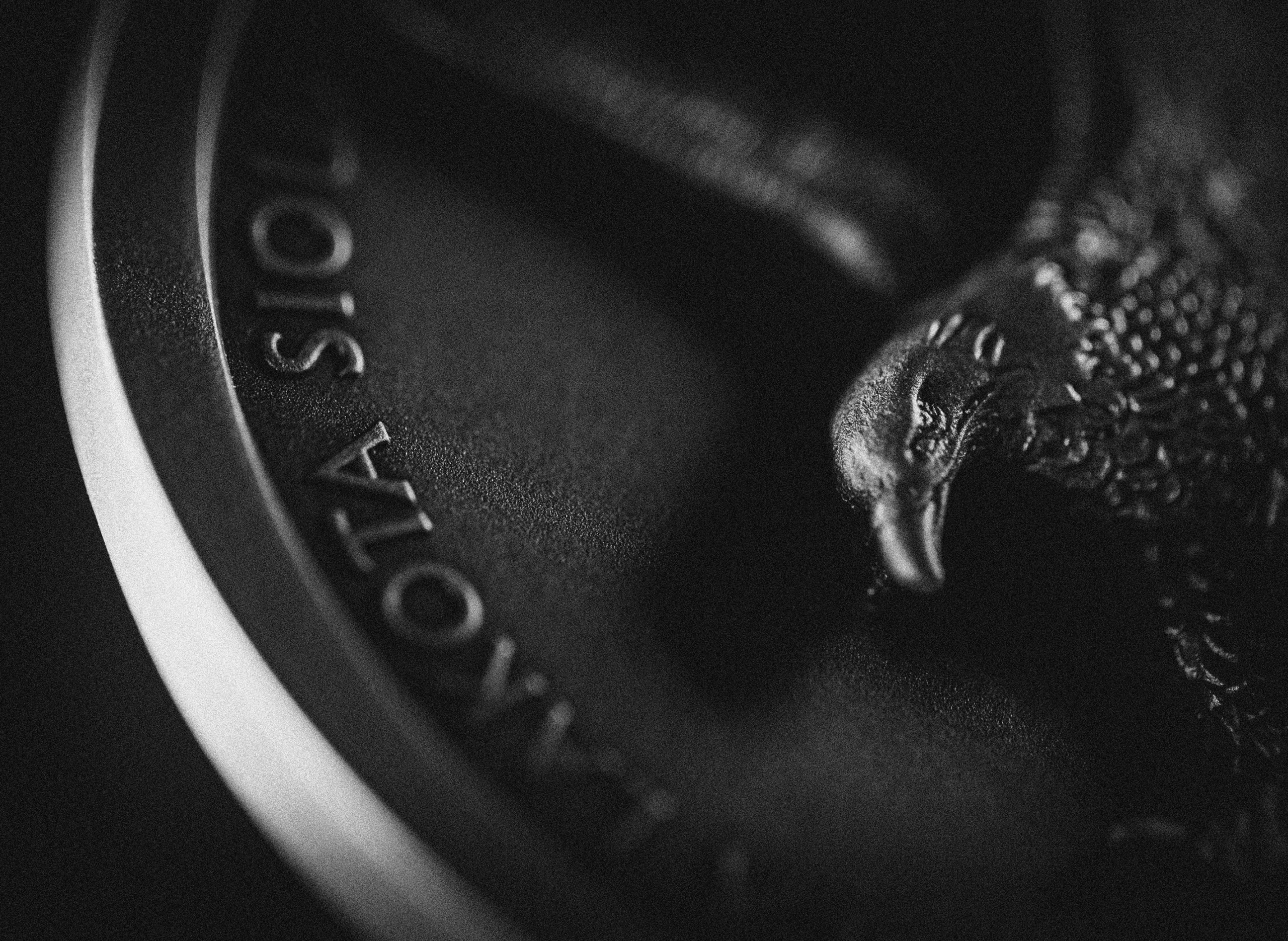 Silver eagle beyond relief coin close up